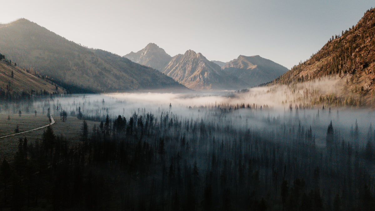 Morning fog lying over a forested valley below sunlit mountain peaks at sunrise near Grandjean, Idaho